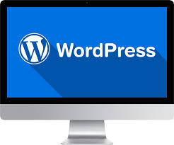There Is No Alternative to Effort and Patience to Succeed in WordPress